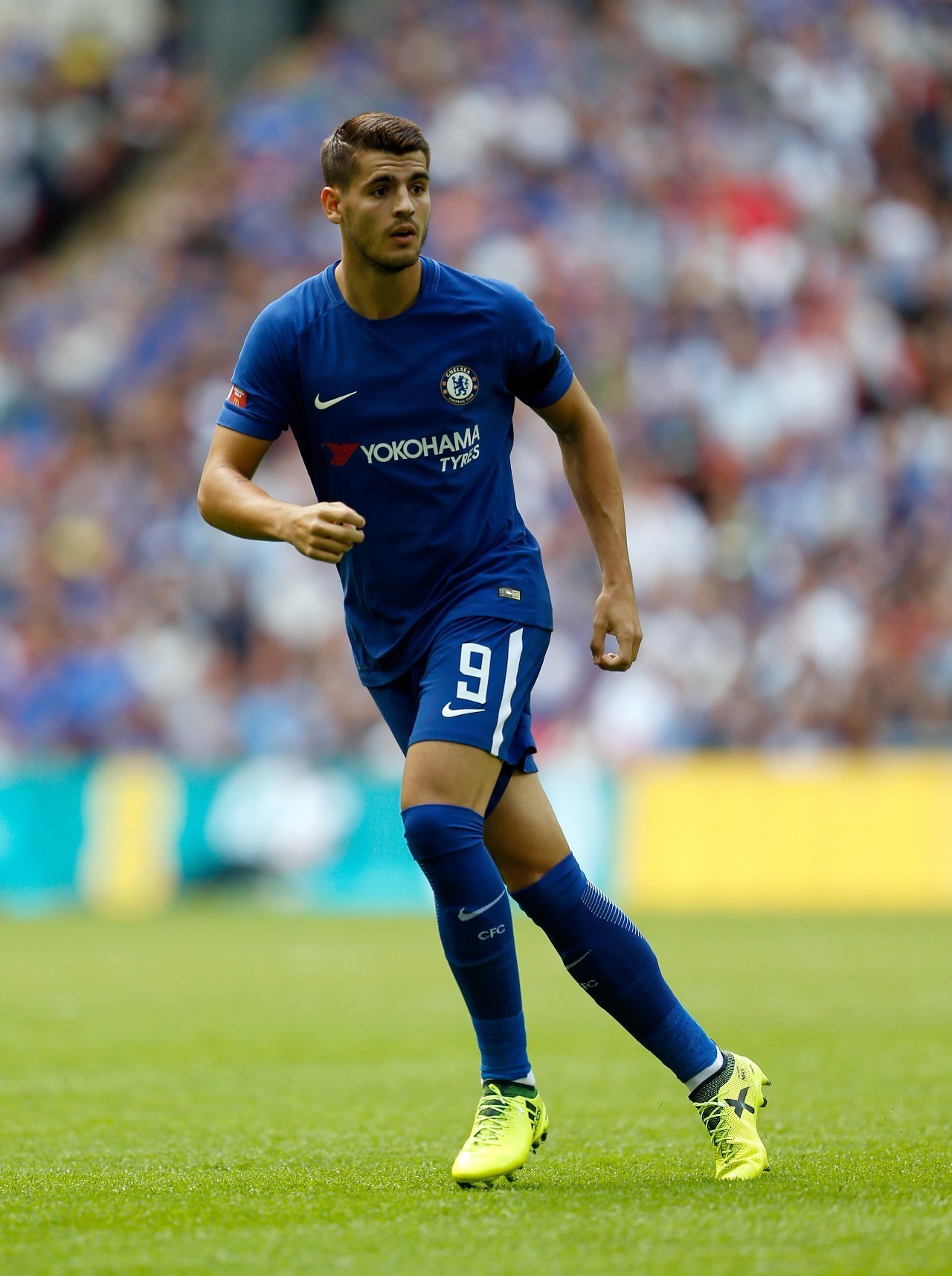 新星崛起 新星崛起